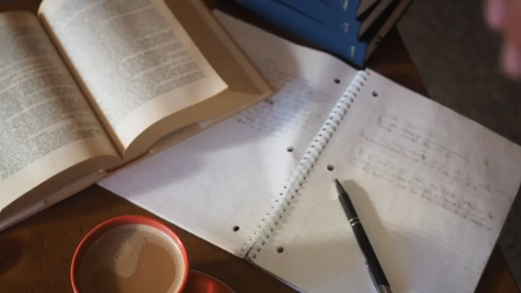 IA E DIREITOS AUTORAIS - LIVROS PIRATAS IA