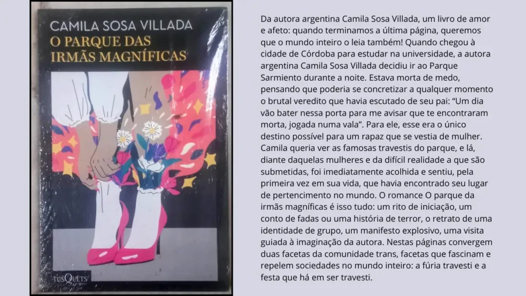 O PARQUE DAS IRMÃS MAGNÍFICAS - 9786555354027